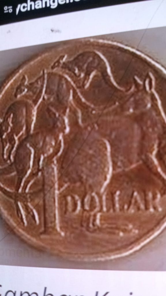 Ini Dia Cara Tukar Uang Koin Logam Asing Di Money Changer